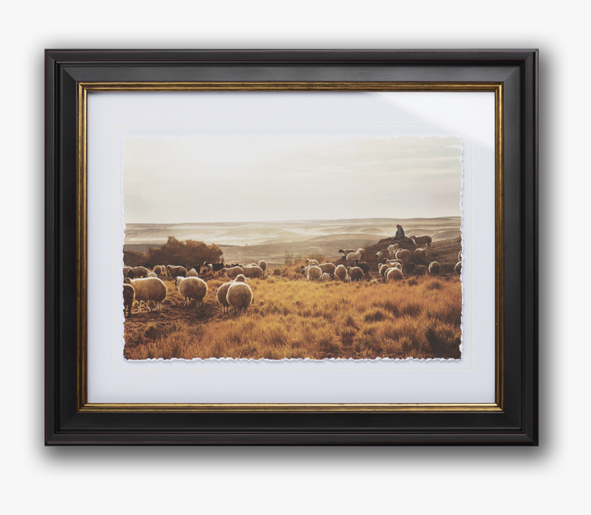 Picture Frame, HD Png Download