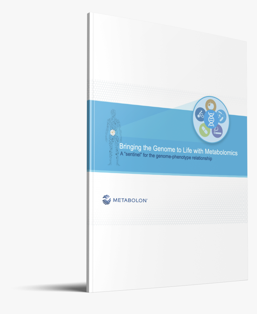 Screenshot, HD Png Download