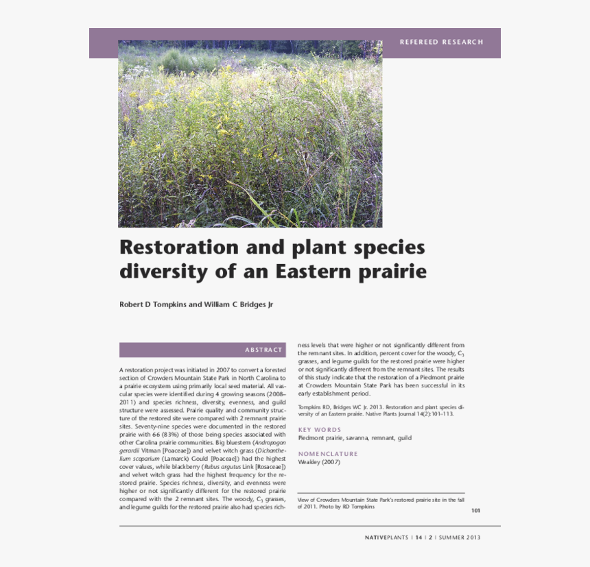 Grass, HD Png Download