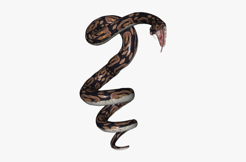 Serpent, HD Png Download