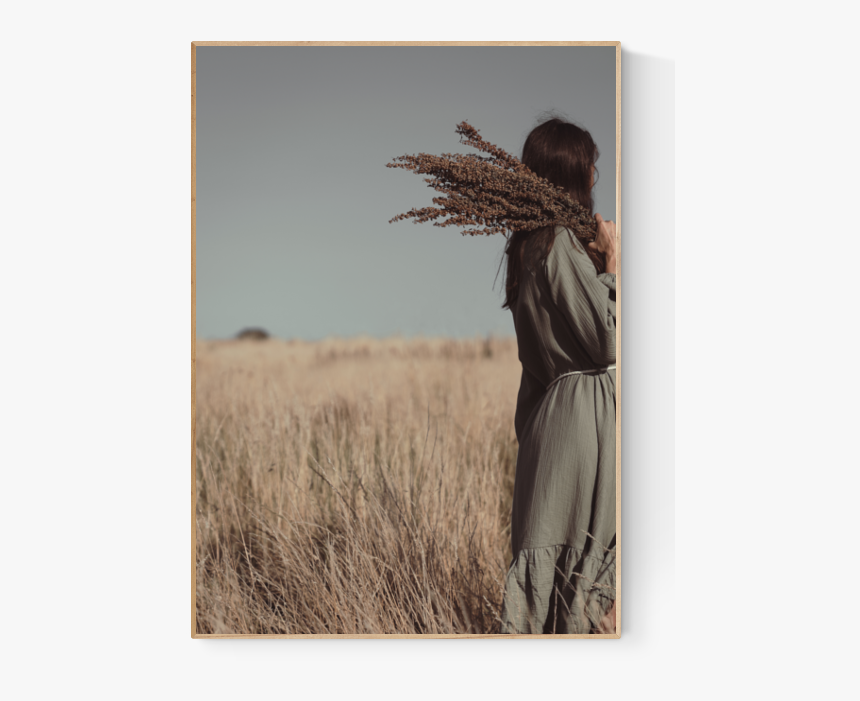 Prairie Grass Png, Transparent Png