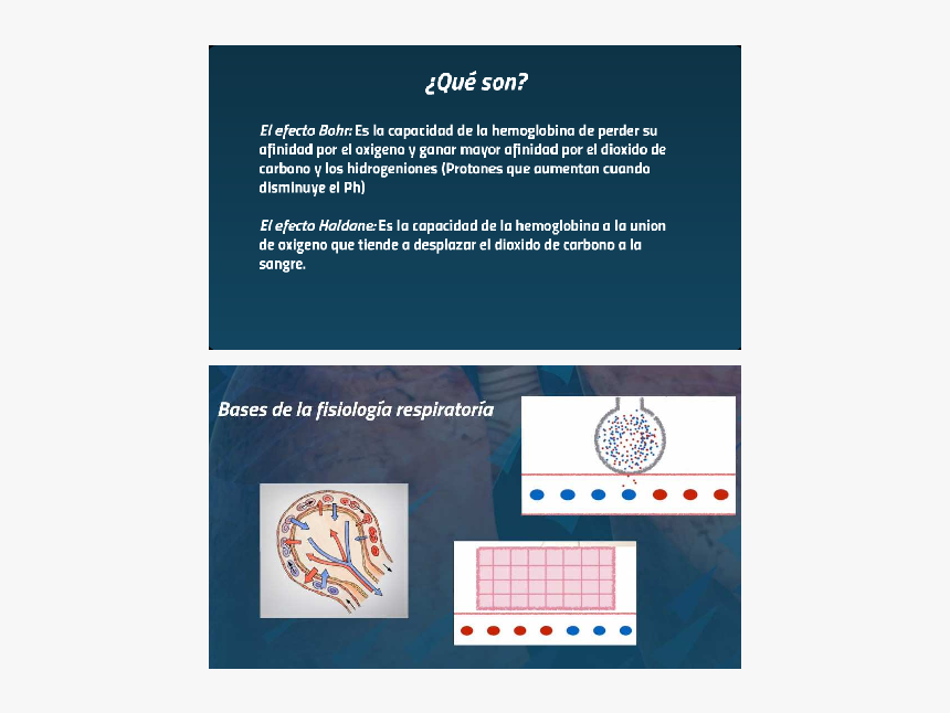 Poster, HD Png Download