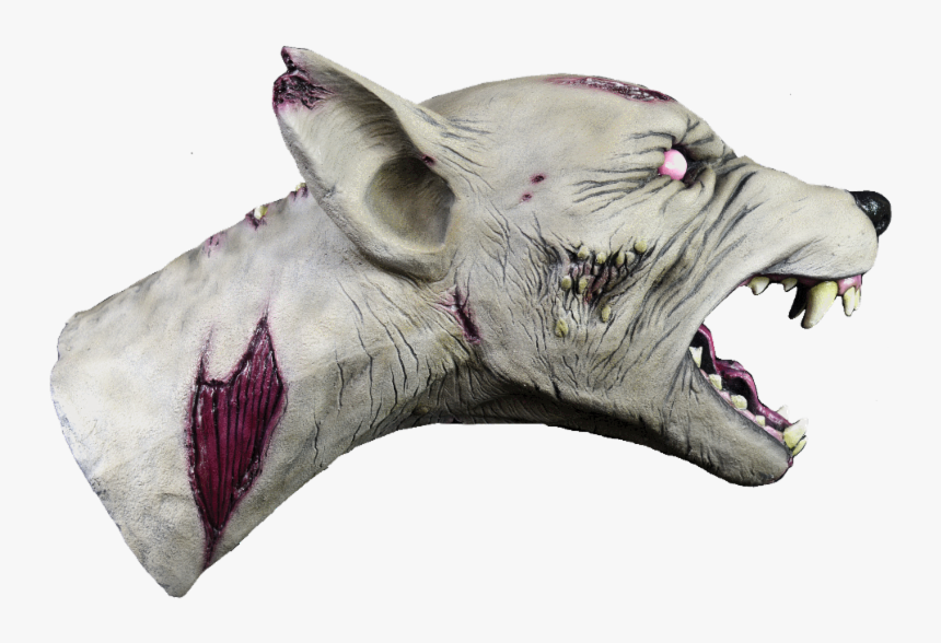 Zombie Dog Puppet - Dog Puppet, HD Png Download