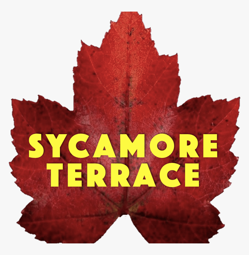 Sycamore Terrace - Theatre Royal, HD Png Download