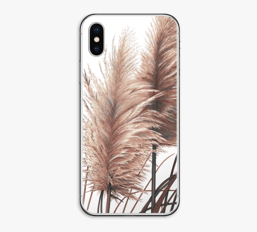 Pampas Grass Skin Iphone Xs - Pampas Grass High Res, HD Png Download