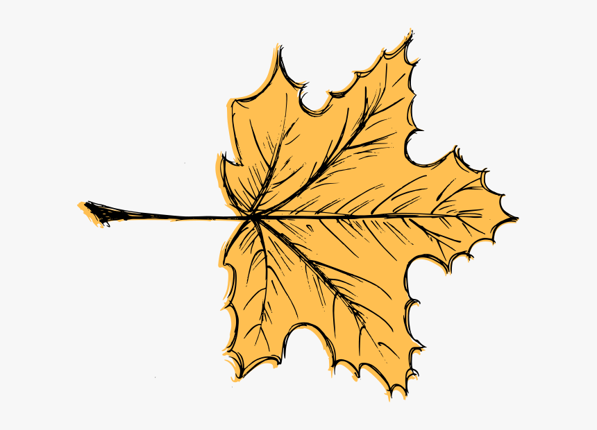 Leaf Drawing Vector 3, HD Png Download