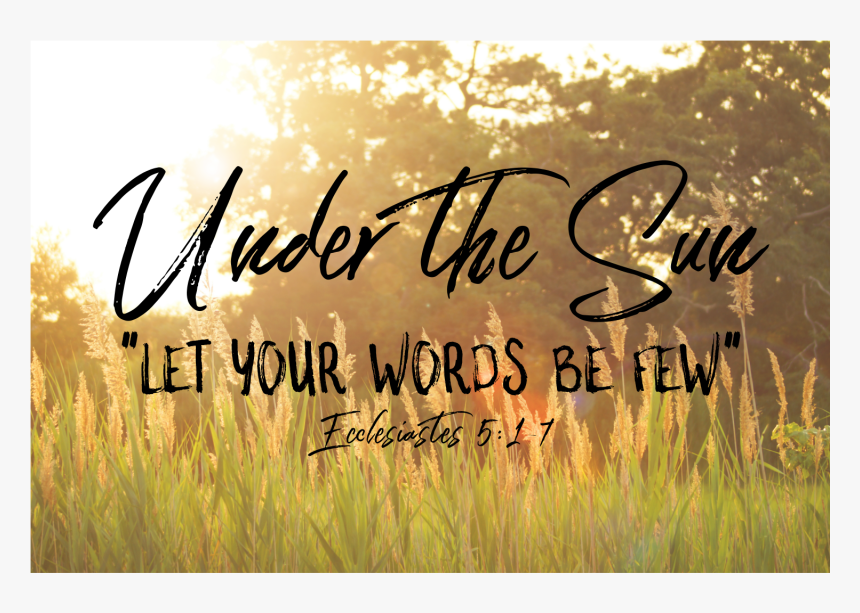 Prairie Grass Png, Transparent Png