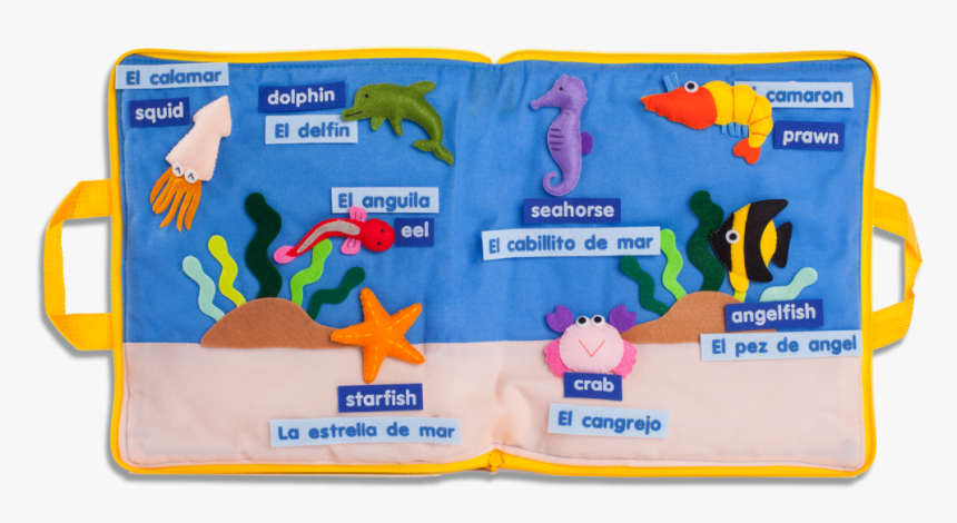 Estrella De Mar Png, Transparent Png