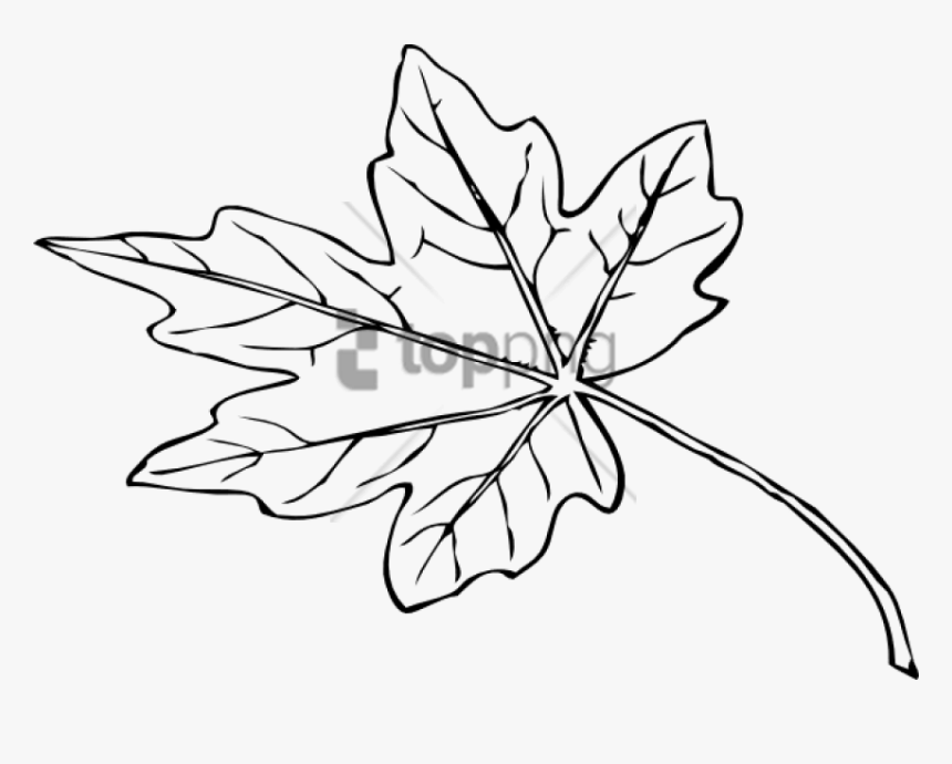 Free Png Papaya Leaf Black And White Png Image With - Small Leaf Black And White, Transparent Png