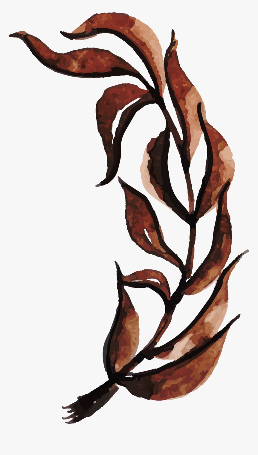 Illustration, HD Png Download