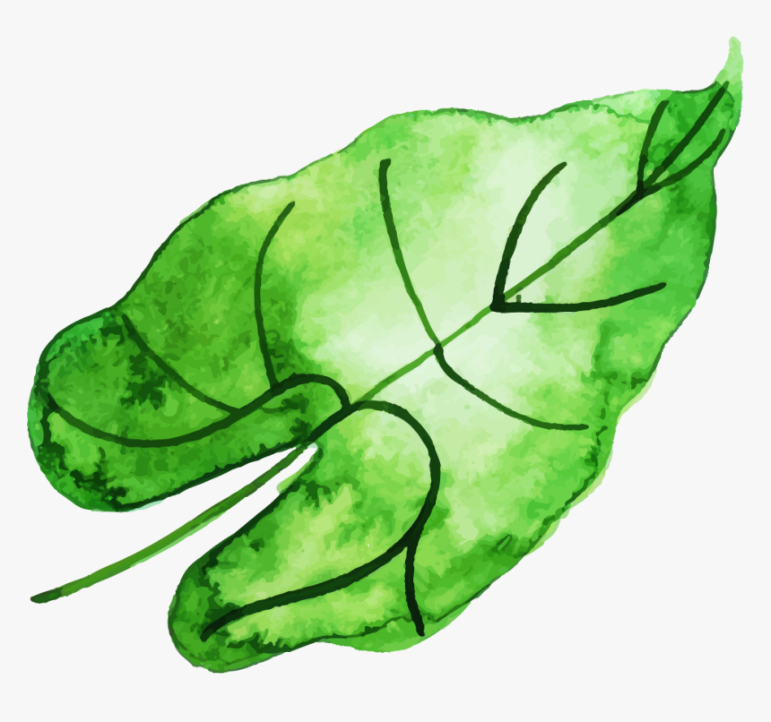 Sketch, HD Png Download