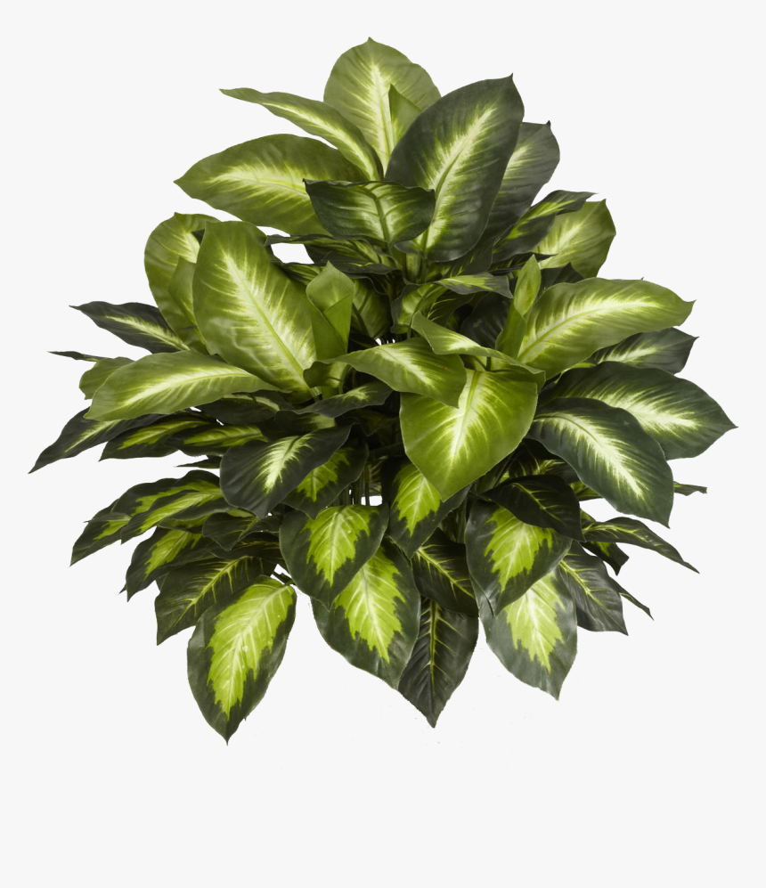 Leaf Green Png Decorative Tree - Artificial Plants, Transparent Png