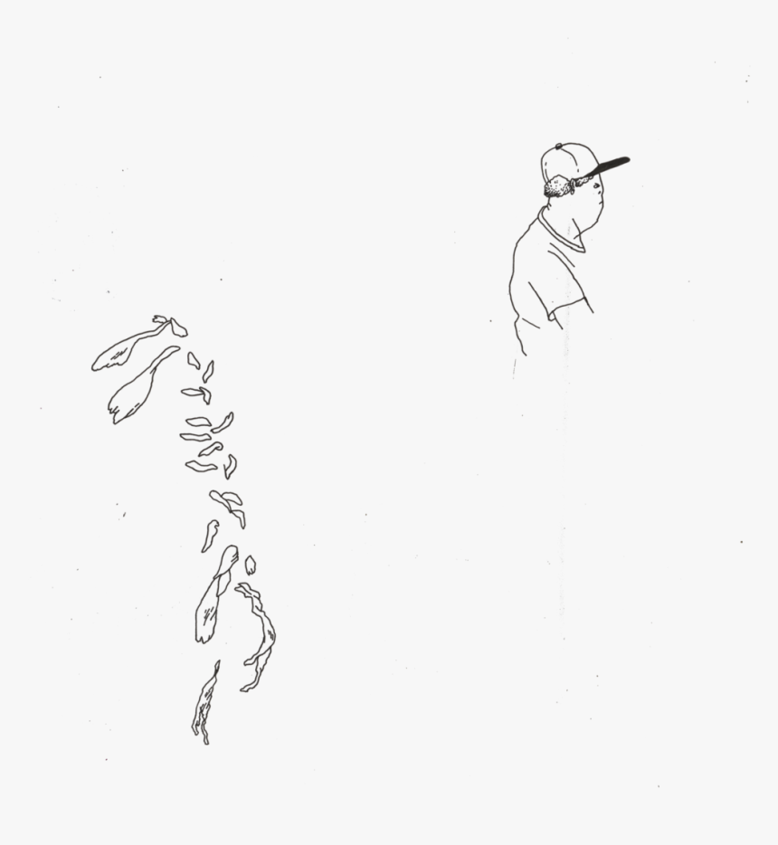 Leaves - Sketch, HD Png Download