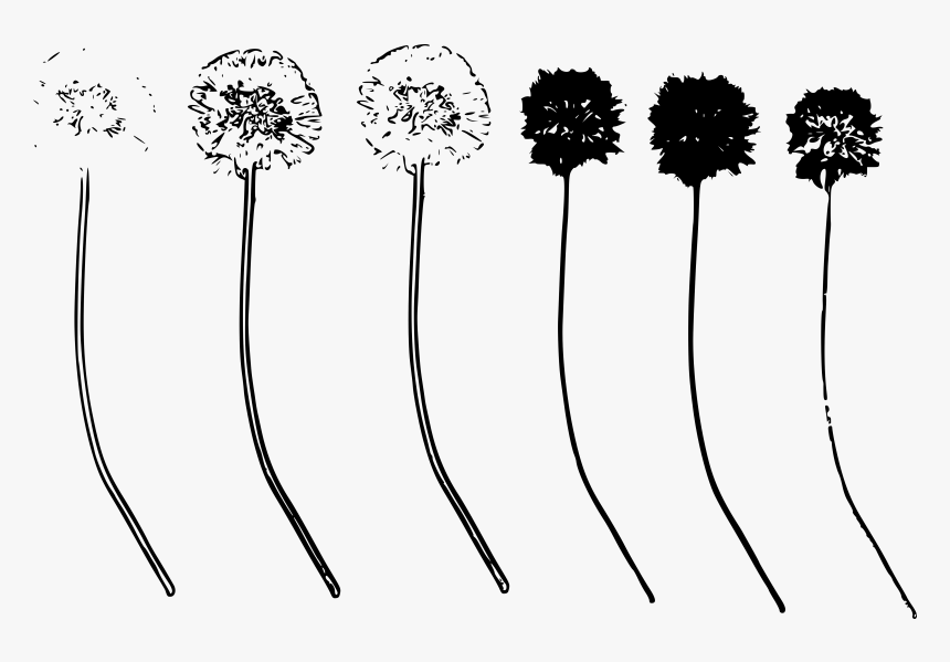 Floral Design, HD Png Download