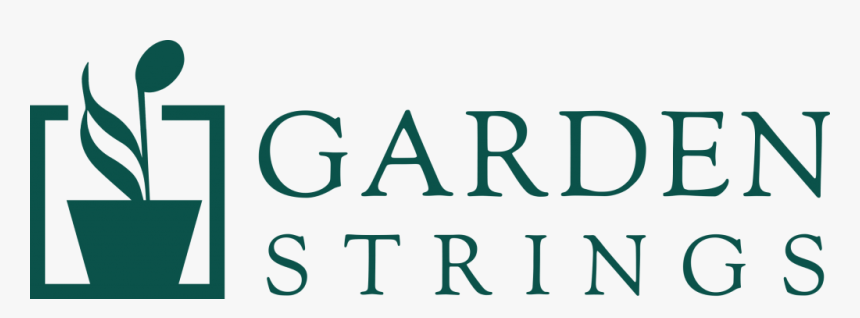 Graphics, HD Png Download