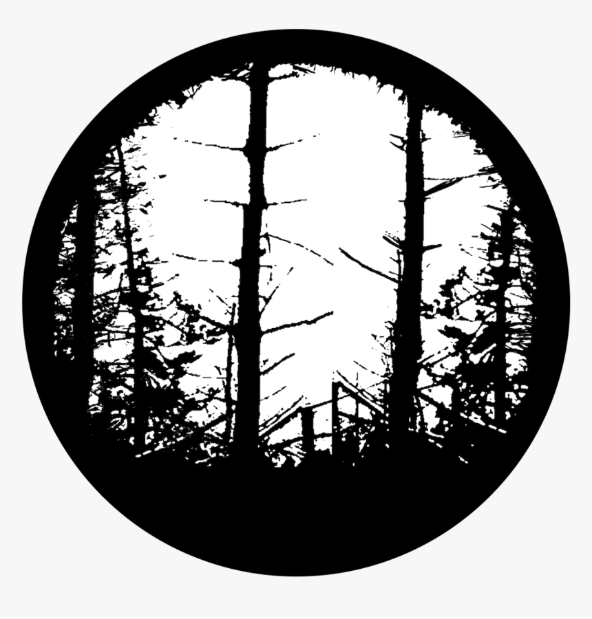 In The Woods - Circle, HD Png Download