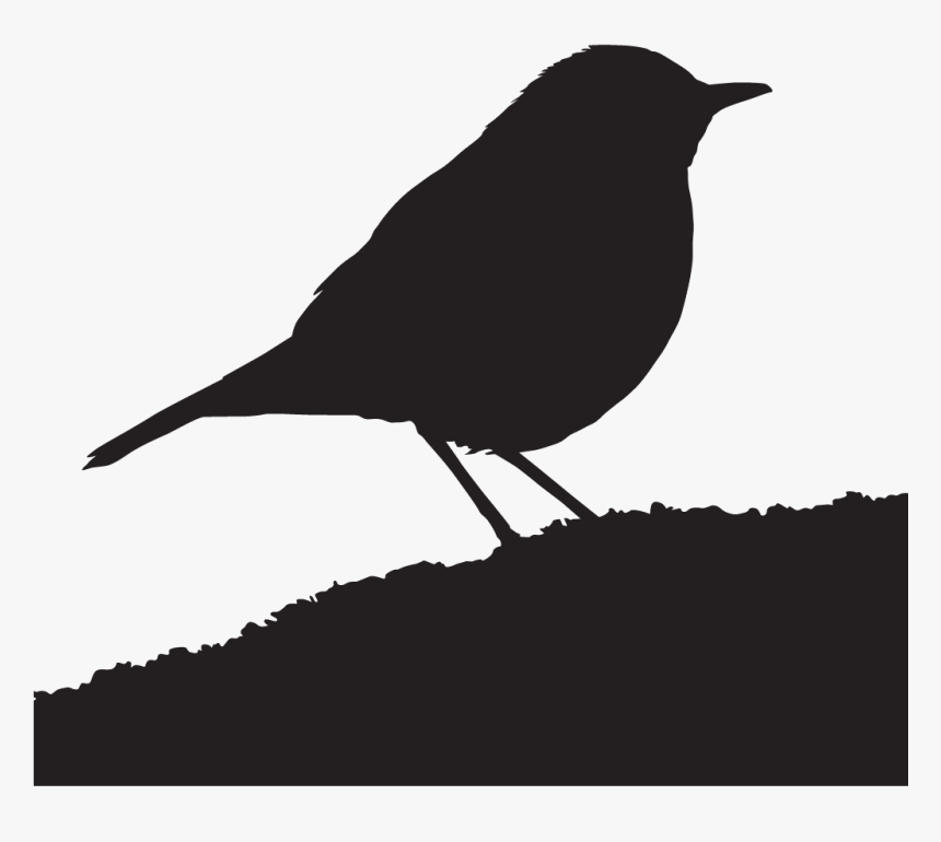 Old World Flycatcher, HD Png Download