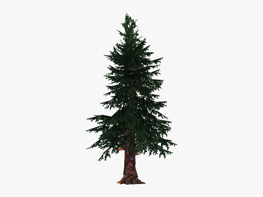 Thumb Image - Black Spruce Png, Transparent Png