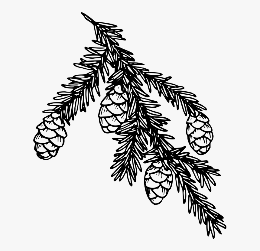 Monochrome - Hemlock Poison Icon Png, Transparent Png