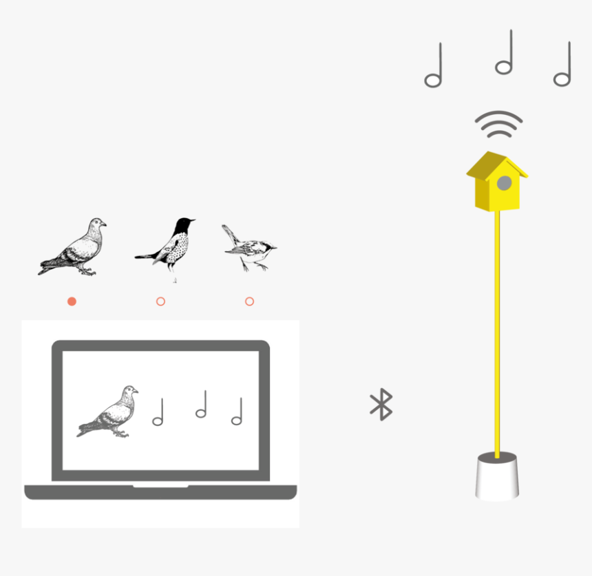 Hearing Birdsong Website Animations-18 - Illustration, HD Png Download