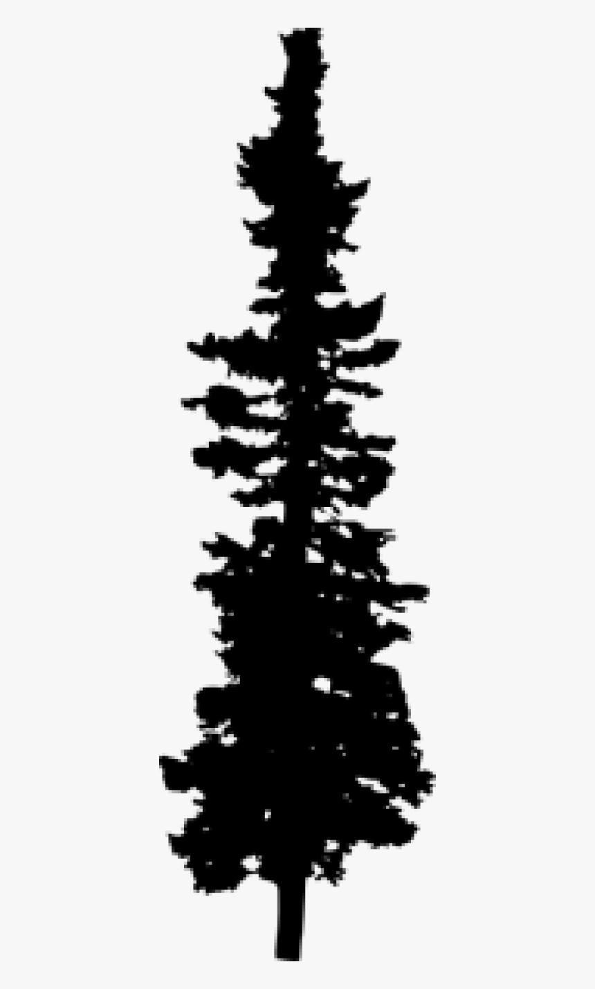 Transparent Pine Tree Silhouette Png - Pine Tree Silhouette, Png Download