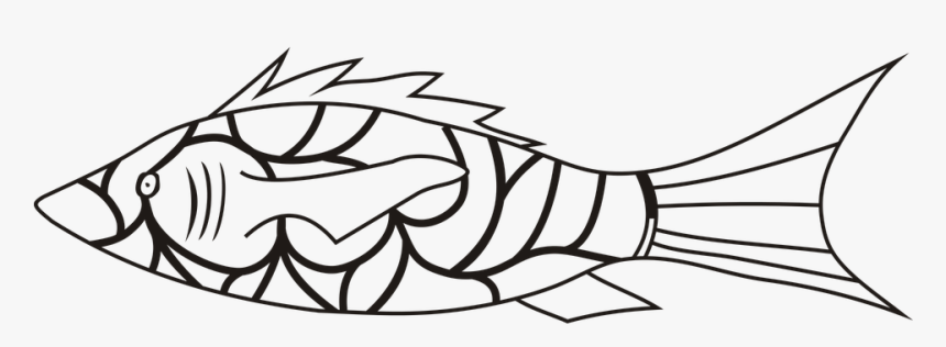 Spalvinimo Paveiksliukai Zuvis, HD Png Download