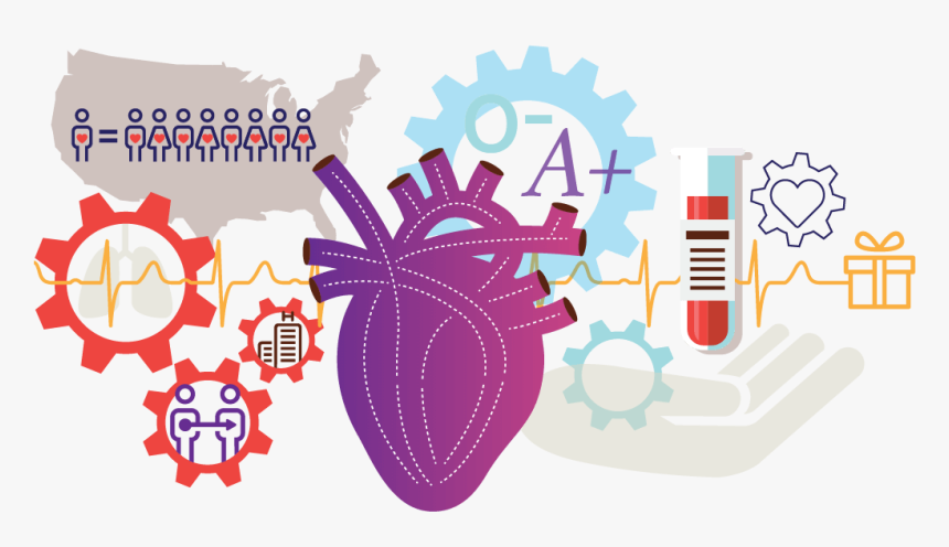 Organ Donation, HD Png Download