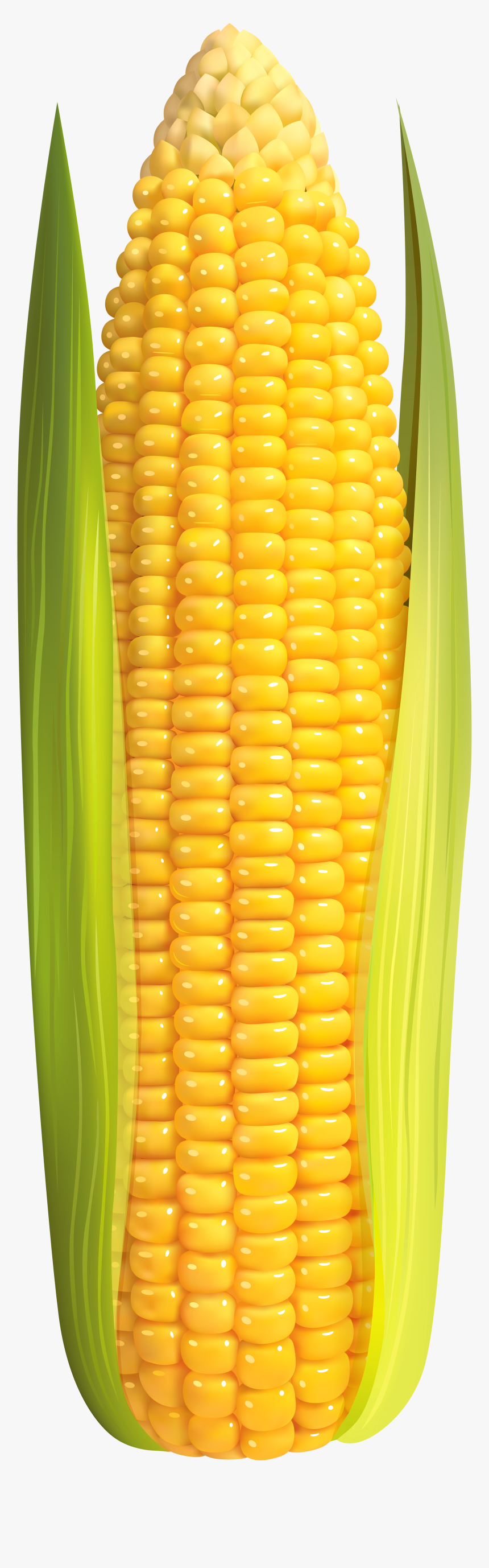 Corn Clip Art High Resolution - Corn On The Cob Transparent, HD Png Download