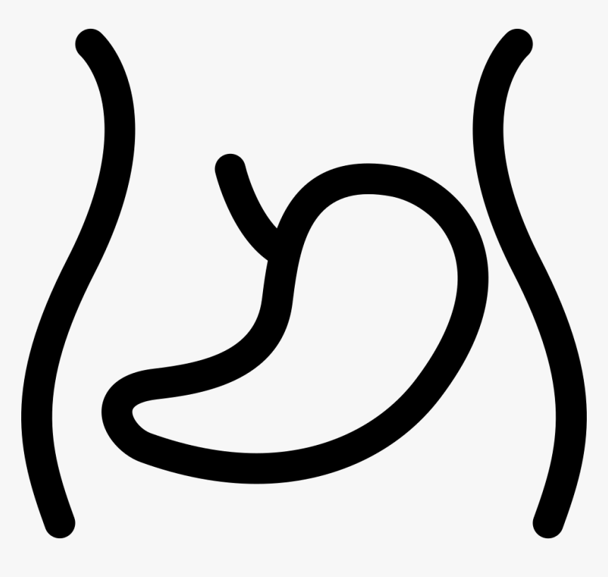 Liver Organ Inside The Abdomen Outline - Organ Outline Png, Transparent Png