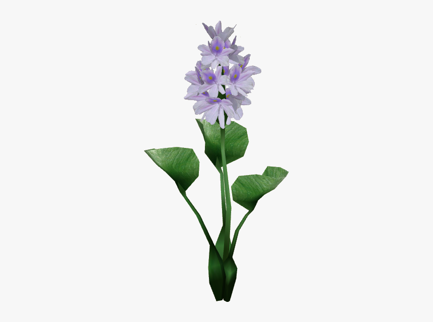 Thumb Image - Water Hyacinth Plant Png, Transparent Png
