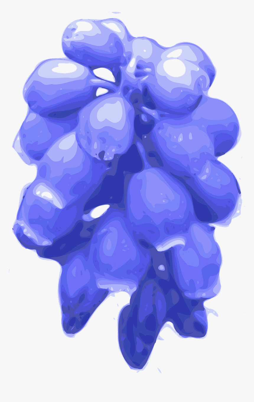 Clip Art, HD Png Download