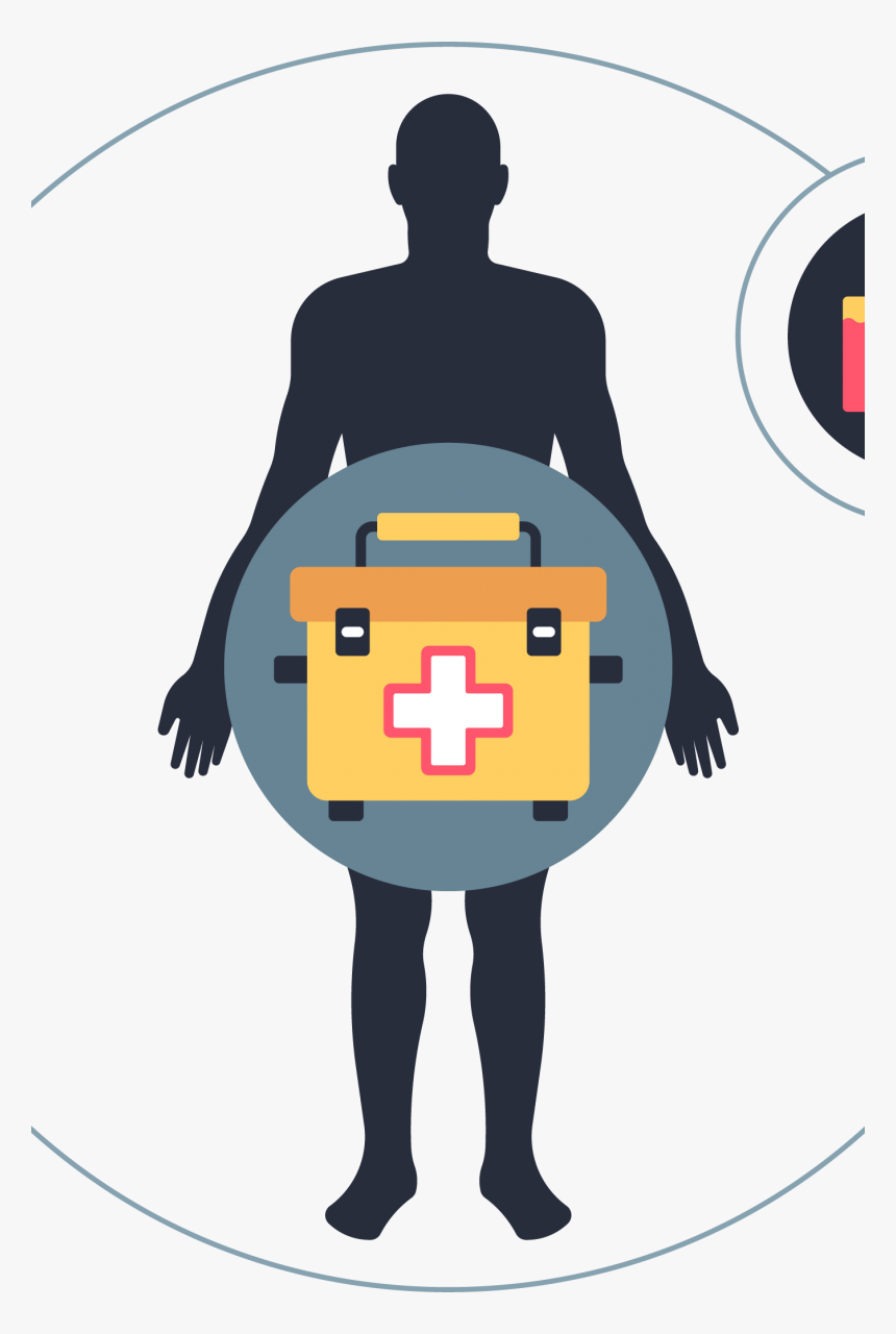 Organ Png, Transparent Png