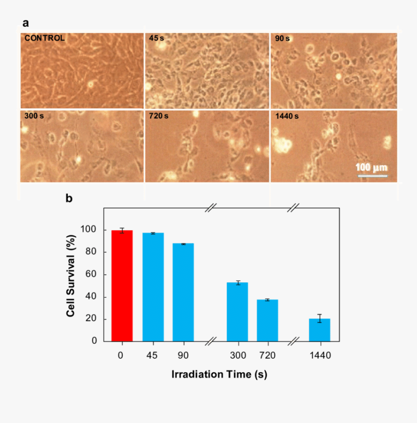 Diagram, HD Png Download