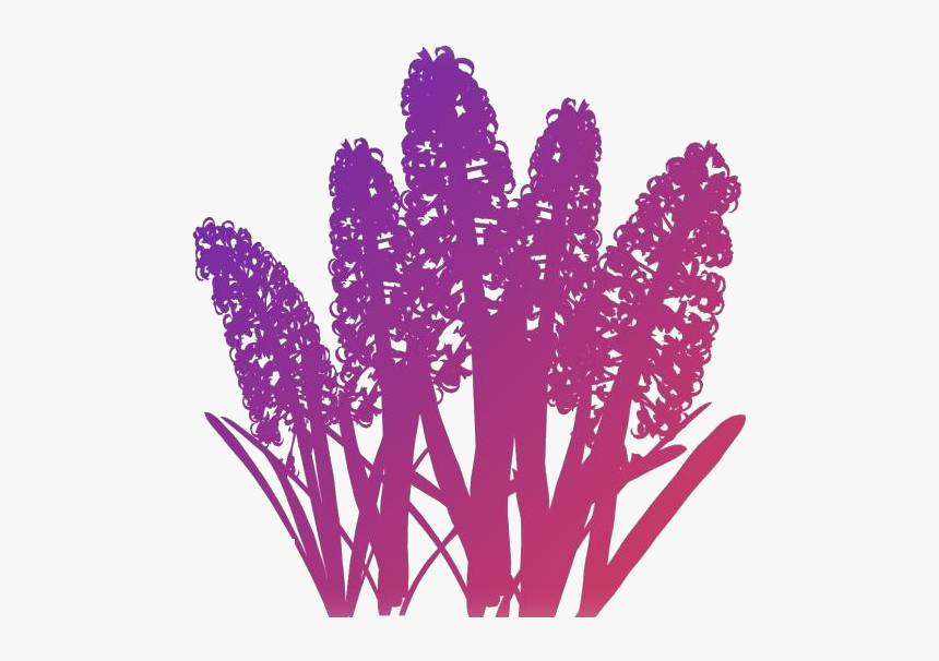 Hyacinth Flower Png Free Transparent Clipart - Flower, Png Download