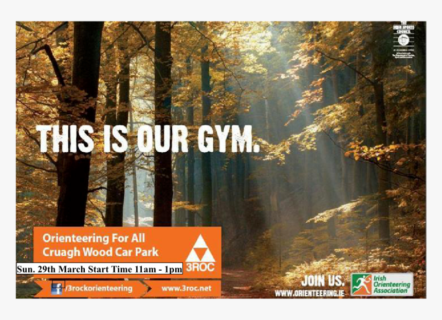 Pine Forest Poster This Is Our Gym 06mar2015 - Woods Autumn, HD Png Download