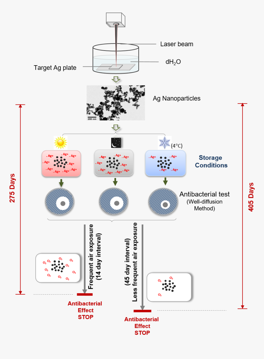 Diagram, HD Png Download