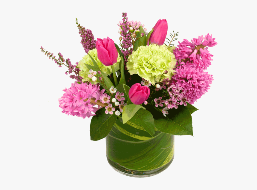 Spring Hyacinth - Eust G Rosita Rose Pink, HD Png Download