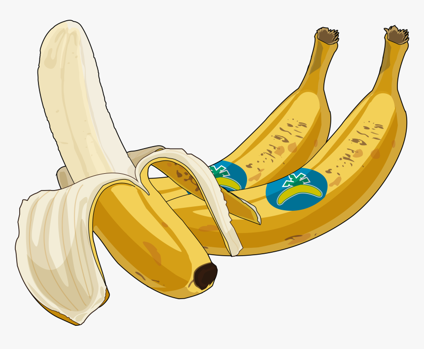 Platano Drawing, HD Png Download