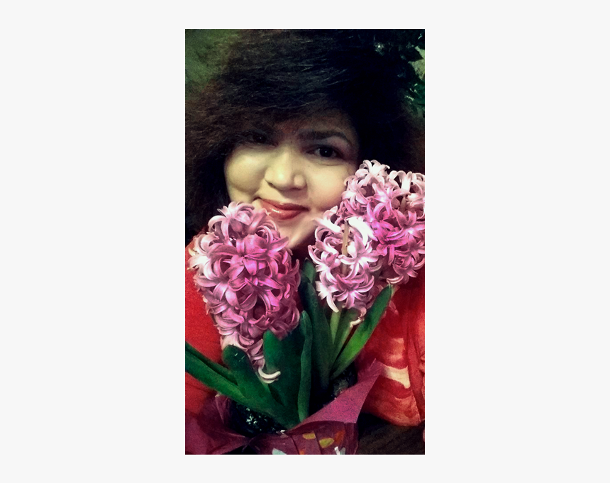 Hyacinth, HD Png Download