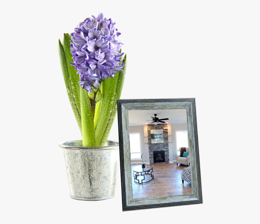 Pot Plant Table - Hyacinth, HD Png Download