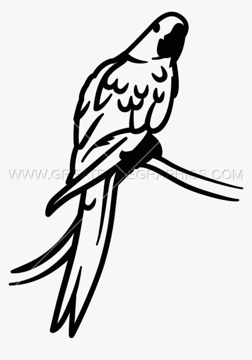 Parrot Clipart Hyacinth Macaw - Parakeet, HD Png Download