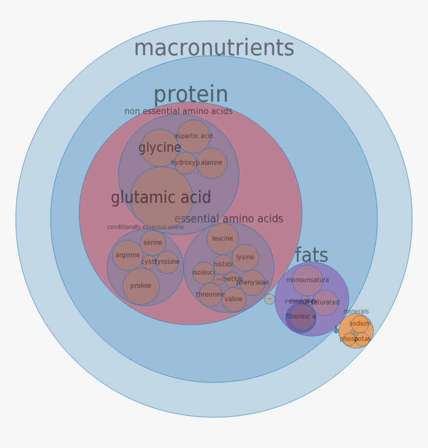 Circle, HD Png Download