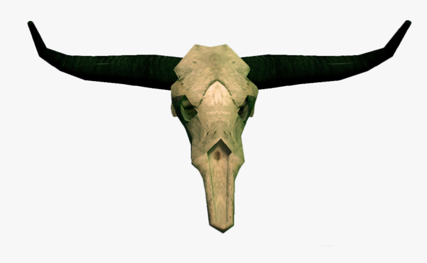 Cow Skull Png - Bull Skull Png, Transparent Png