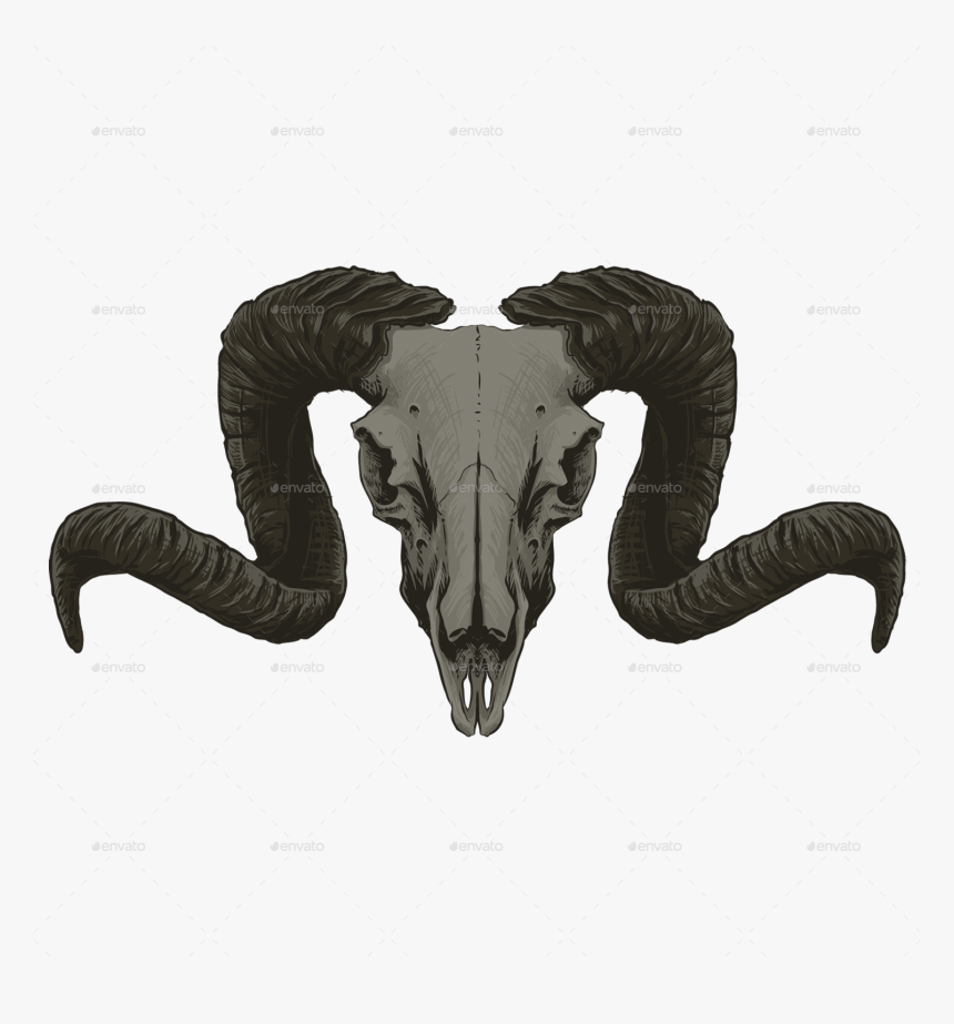 Goat Skull - Goat Skull Png, Transparent Png