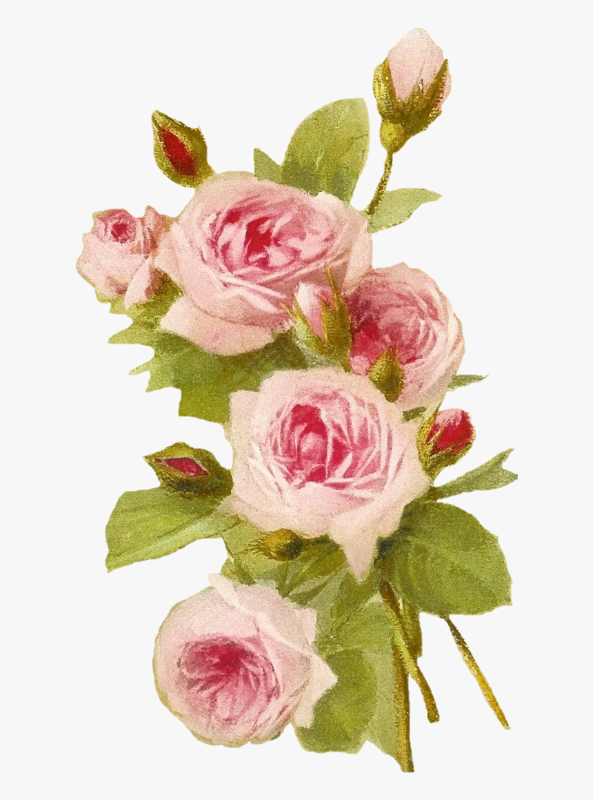 Romantic Pink Flower Border Png Transparent - Fondos De Rosas Rosas, Png Download