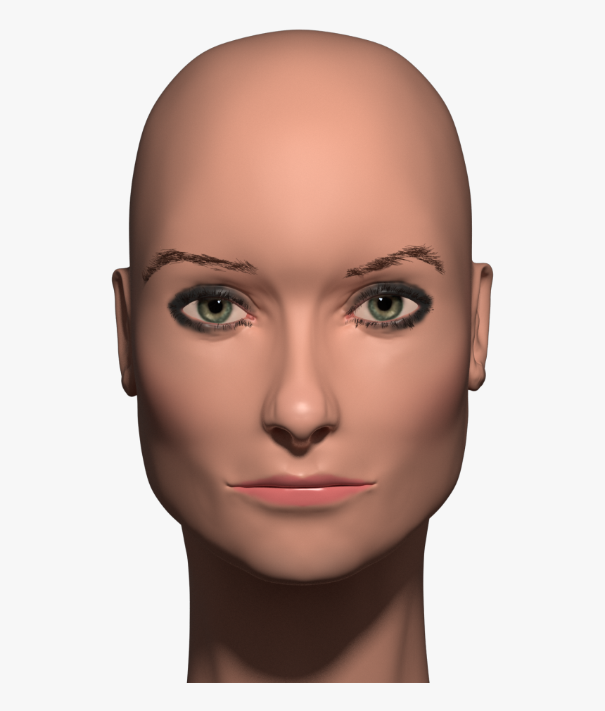 Close-up, HD Png Download