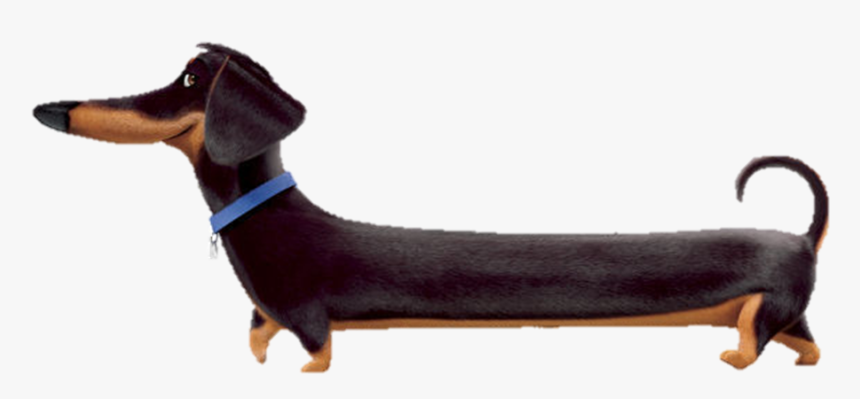 Secret Life Of Pets 2 Weiner, HD Png Download