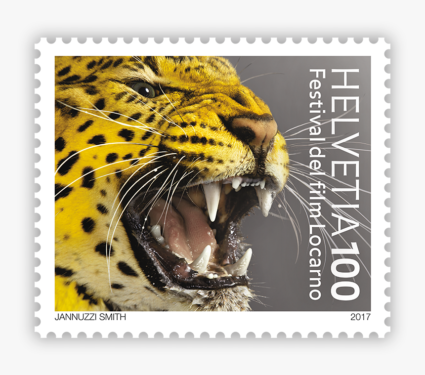 Locarno Film Festival Poster, HD Png Download