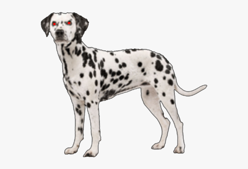 Download Free Png Susie Dalmatian Dog - Dalmatian Png, Transparent Png