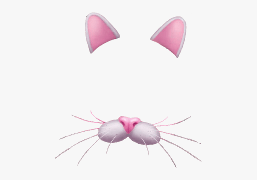 Snapchat Filter Bunny Rose - Transparent Cat Snapchat Filter, HD Png Download